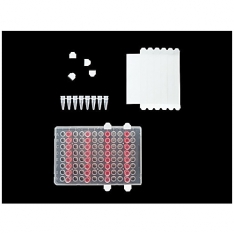 Excel EZcap PCR FilmStrips